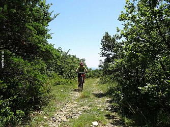 Les bois de la Garde