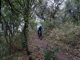 Les Caves Cathédrales