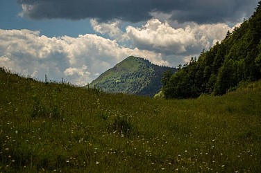 Crêt de Chalam depuis Forens