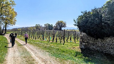 Entre bois et panorama