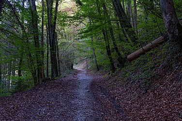 Chemin de Châtillon-sur-Cluses à Cluses