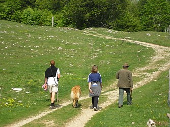 De Saint-Maurice-de-Gourdans à Pollet