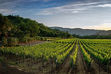 Vignes & pierres sèches à vélo