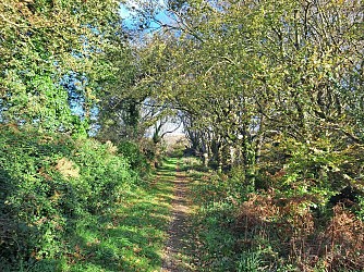 La vallée de Kerouzien à Keramoal