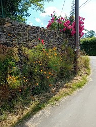 Trail au fil des vallées - parcours 4