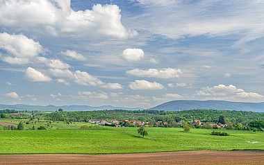 Walk around Schirlenhof