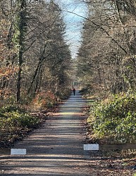 Liaison douce de Fontainebleau à Bois-le-Roi