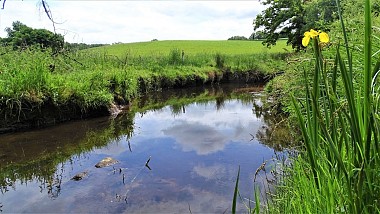 Bubry - Brandifrout Circuit by the river