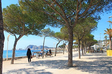 Coastal Walk