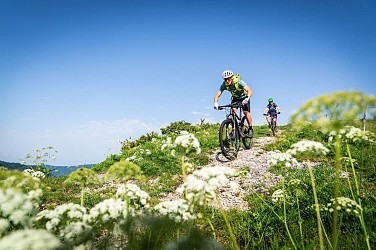 La Grande Traversée du Jura à VTT - GTJ à VTT