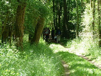 Circuit de la croix de pierre