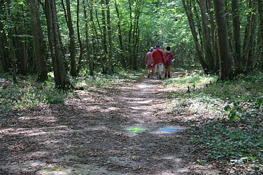 Découverte du Thymerais et de la Forêt domaniale de Châteauneuf