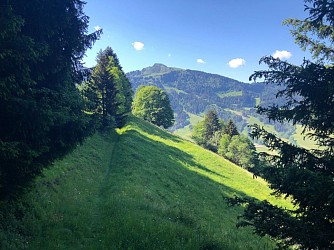 Experienced walkers -  Le bois des Têtes