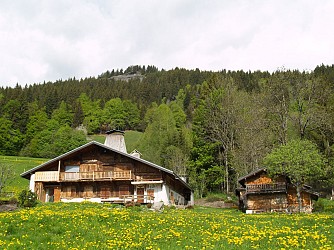 Small Walks Le Mont du Villard