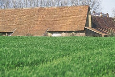 Around the Libaude