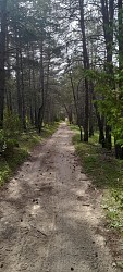 Circuit VTT et Gravel N°5 : Les sources du Fontanil