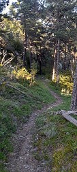 Enduro Mountain Bike Trail No.32 : La Saint-Pierre