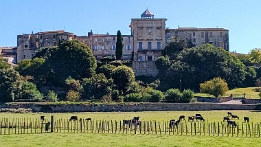 Promenade à cheval - La Roque d'Aubais