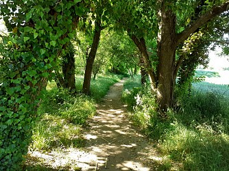 Cyclo Gravel : Des voies vertes au vignoble de Lézan