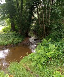 Via Sancti Martini - Étape Mesples-Préveranges