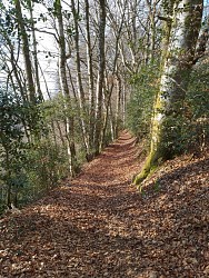 Des hauteurs du Buenne à la vallée de l'Alze et de la Fon