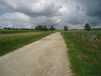 image du circuit