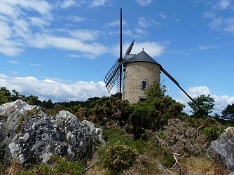 Porté par l'eau et le vent