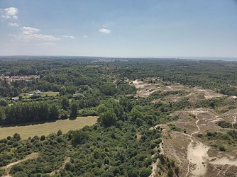 Sentier de la forêt