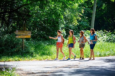 GR6 en Gironde du Sud