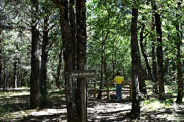 SAULT - Les bois du Défends (iti court)
