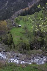 Valfroide