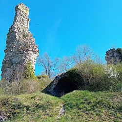 Boucle à vélo - De Bayon à Haroué : Le canal des Vosges et la vallée de la Moselle sauvage