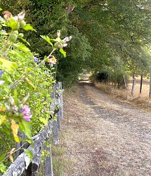 Boucle de la Mazille