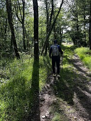 Trail n°7 vert : Circuit La Lauressie - Laguépie