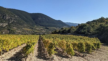 OENORANDO® LES TERRASSES DE PÉGAIROLLES