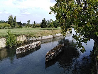 BOIS DEBOUCHE