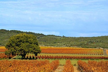 Entre Sables et Lauzes" trail