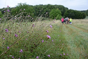 Sentier pédestre "La Louine"