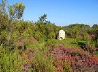 Sur les traces de Rabelais