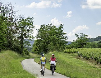Le Grand Tour du Chalonnais à vélo : Etape Cormatin à Chalon-sur-Saône