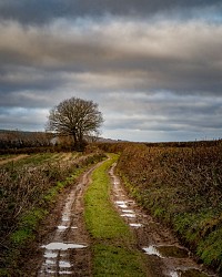 Circuit de randonnée : Chemin du Tacot