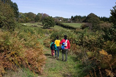 GR ® de Pays Grand Tour du Morvan par les Lacs