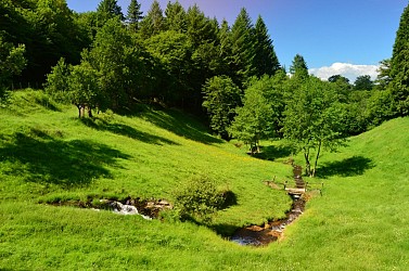 Circuit Pédestre N° 54 : Le chemin de l'Etang