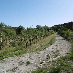 Les carrières de Sainte Juste