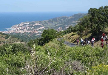 Loop hike from Valmy Castle to Banyuls via the Col des Gascons and the coastal path