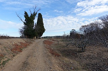 CIRCUIT N°4 VILLENEUVETTE ET LA DOURBIE- ESPACE VTT-FFC DU SALAGOU