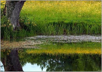 La Chasserelle