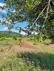 CIRCUIT N°12 LES BERGES DU SALAGOU - ESPACE VTT-FFC DU SALAGOU