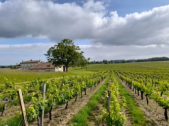 Boucle du Tertre de Thouil