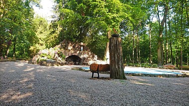 The botanical trail of Widensolen